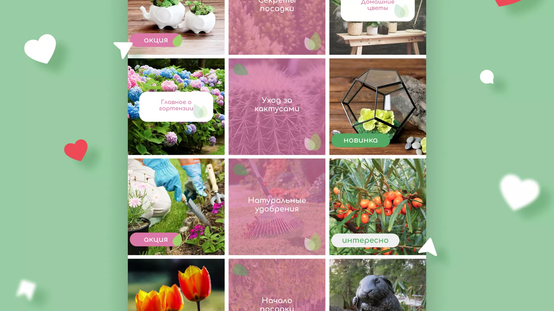 Разработка оформления профиля Instagram для магазина «Floraint» в Избербаше