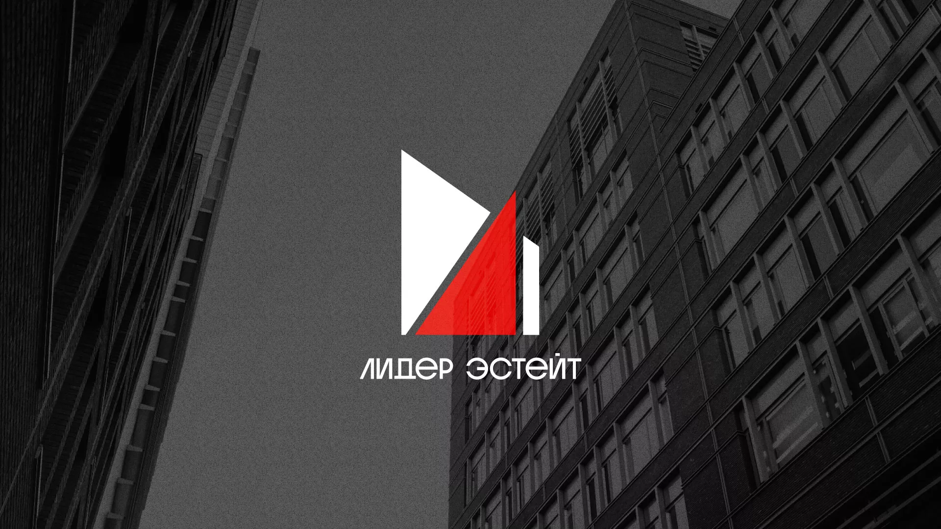 Сделали логотип для агентства недвижимости «Лидер Эстейт» в Избербаше
